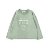【プチプラ/ 綿100％】アソートTシャツ 子供服 キッズ | BRANSHES | 詳細画像20 