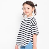 ボーダー | ビックシルエットTシャツ | ブランシェス