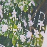 長袖デザインTシャツ ロンT | ブランシェス | 詳細画像20 