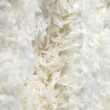 【プチレディ】シャギートップス | ブランシェス | 詳細画像10 