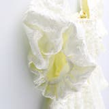 【プチレディ】バックリボンブラウス 春 トップス | ブランシェス | 詳細画像10 