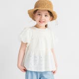 アイボリー | スカラップ レース ティアード | ブランシェス