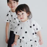 91:ドット柄オフ | 【b.+A】金子綾/半袖Ｔシャツ/綿100%/スタイリスト/コラボ | ブランシェス