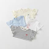 【ブランシェスmini】袖フリル半袖Tシャツ/キッズ/女の子/ボーダー | ブランシェス | 詳細画像12 