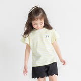 【ブランシェスmini】袖フリル半袖Tシャツ/キッズ/女の子/ボーダー | ブランシェス | 詳細画像16 