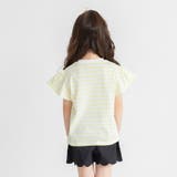 【ブランシェスmini】袖フリル半袖Tシャツ/キッズ/女の子/ボーダー | ブランシェス | 詳細画像18 