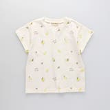 【ブランシェスmini】半袖Tシャツ | ブランシェス | 詳細画像2 