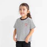 ボーダー | 【プチプラ】アソート半袖Tシャツ/150cm/キッズ/女の子/男の子 | ブランシェス