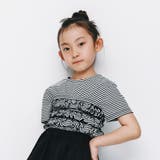 ボーダー | 【b.+A】金子綾/シャーリング半袖Ｔシャツ | ブランシェス