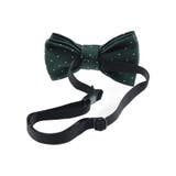 【フォーマル】蝶ネクタイ | ブランシェス | 詳細画像33 