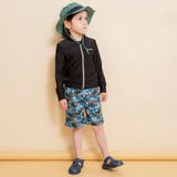 【水着】恐竜総柄 サーフパンツ | ブランシェス | 詳細画像5