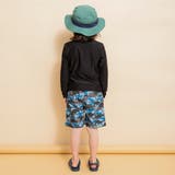 【水着】恐竜総柄 サーフパンツ | ブランシェス | 詳細画像7