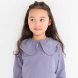 ブルーグレー | 【DRC】襟付き裏毛トレーナー スゥエット | ブランシェス