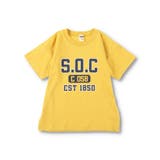 【WEB限定/DRC/お肌に嬉しい綿100％】アソートグラフィック半袖Tシャツ | BRANSHES | 詳細画像39 