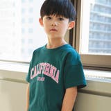 グリーン | 【WEB限定/DRC/お肌に嬉しい綿100％】アソートグラフィック半袖Tシャツ | BRANSHES