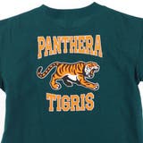 【WEB限定/DRC/お肌に嬉しい綿100％】アソートグラフィック半袖Tシャツ | ブランシェス | 詳細画像14 