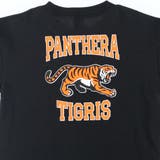 【WEB限定/DRC/お肌に嬉しい綿100％】アソートグラフィック半袖Tシャツ | ブランシェス | 詳細画像19 