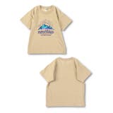 ベージュ | 【WEB限定/DRC/お肌に嬉しい綿100％】アソートグラフィック半袖Tシャツ | ブランシェス