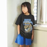 【WEB限定/DRC/お肌に嬉しい綿100％】アソートグラフィック半袖Tシャツ | ブランシェス | 詳細画像48 