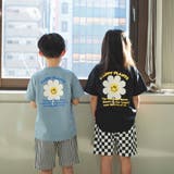 【WEB限定/DRC/お肌に嬉しい綿100％】アソートグラフィック半袖Tシャツ | ブランシェス | 詳細画像56 