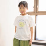 91:レモン-オフホワイト | アソートグラフィックガールズ半袖Tシャツ | BRANSHES