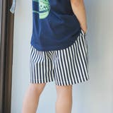 92:ストライプ | 【WEB限定/DRC】カラバリハーフパンツ | ブランシェス