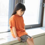 【WEB限定/DRC】カラバリ天竺ハーフパンツ《ラクショーパンツ》 | ブランシェス | 詳細画像18 