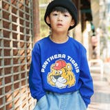 ブルー | 【DRC/お肌に嬉しい綿100%】アソートグラフィック長袖Tシャツ | ブランシェス