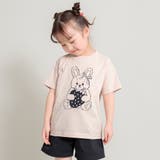 31:ラビット-ピンク | アソート グラフィック ガールズ半袖Tシャツ | ブランシェス