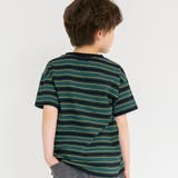 グリーン | 【DRC/綿100％】マルチボーダー半袖Tシャツ/ボーダー/ミックス ボーダー | ブランシェス