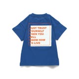 【DRC/綿100％】アソートグラフィック半袖Tシャツ 春 トップス | ブランシェス | 詳細画像16 