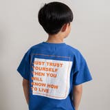 ブルー | 【DRC/綿100％】アソートグラフィック半袖Tシャツ 春 トップス | ブランシェス