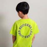 ライム | 【DRC/綿100％】アソートグラフィック半袖Tシャツ 春 トップス | ブランシェス