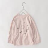 3 | アソートグラフィック長袖Tシャツ 男の子 女の子 | ブランシェス