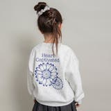 86_MIX_フラワー | 【DRC 裏起毛】アソート グラフィック | ブランシェス