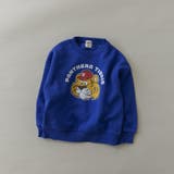 21_ブルー | アソート グラフィック トレーナー | ブランシェス