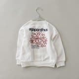 91_ホワイト_フラワー | アソート グラフィック トレーナー | ブランシェス