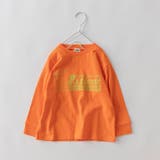 35_オレンジ_うさぎ | 【WEB限定/DRC】アソートグラフィック長袖Tシャツ | ブランシェス