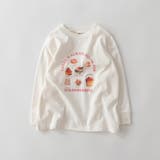 【WEB限定 DRC】アソート転写グラフィック長袖Tシャツ キッズ | ブランシェス | 詳細画像2 