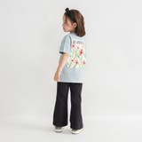 【DRC WEB限定】ガールズ アソート | ブランシェス | 詳細画像39 