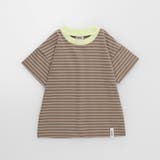 【WEB限定/DRC】無地・ボーダー半袖Tシャツ | ブランシェス | 詳細画像27 