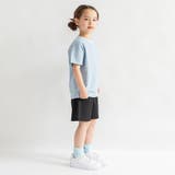 【WEB限定/DRC】無地・ボーダー半袖Tシャツ | ブランシェス | 詳細画像37 