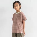 ブラウン | 【WEB限定/DRC】無地・ボーダー半袖Tシャツ | ブランシェス