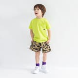 【WEB限定/DRC】ポケット半袖Tシャツ | ブランシェス | 詳細画像17 