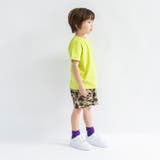 【WEB限定/DRC】ポケット半袖Tシャツ | ブランシェス | 詳細画像19 