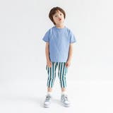 【DRC/WEB限定】アソートグラフィック半袖Tシャツ | ブランシェス | 詳細画像45