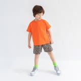 【DRC/WEB限定】アソートグラフィック半袖Tシャツ | ブランシェス | 詳細画像33