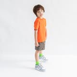 【DRC/WEB限定】アソートグラフィック半袖Tシャツ | ブランシェス | 詳細画像35