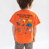 【DRC/WEB限定】アソートグラフィック半袖Tシャツ | ブランシェス | 詳細画像36