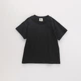 【DRC/WEB限定】アソートグラフィック半袖Tシャツ | ブランシェス | 詳細画像64